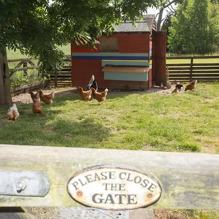 Lantställe Decoy Country