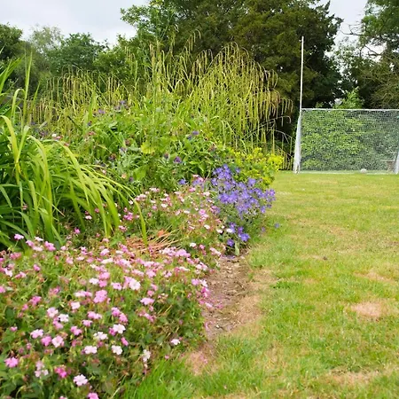 Decoy Country نافان