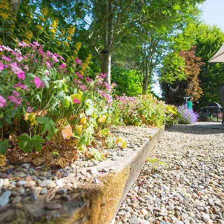 Lantställe Decoy Country *