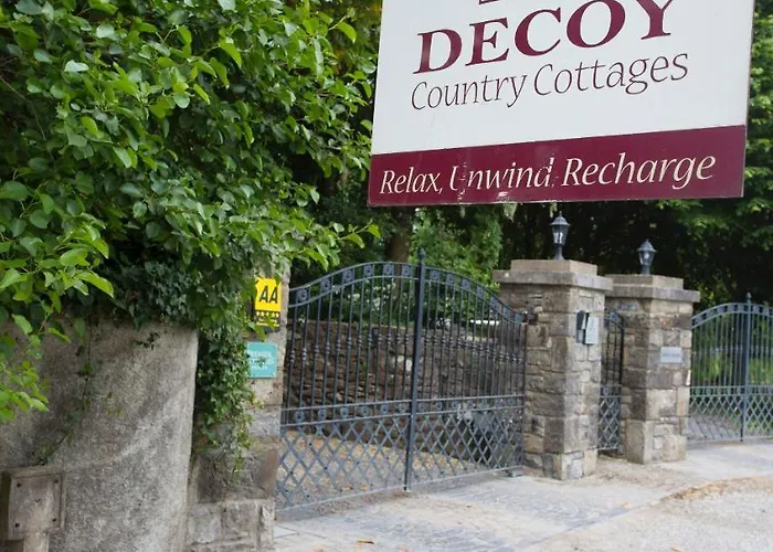 Decoy Country Landsted Navan