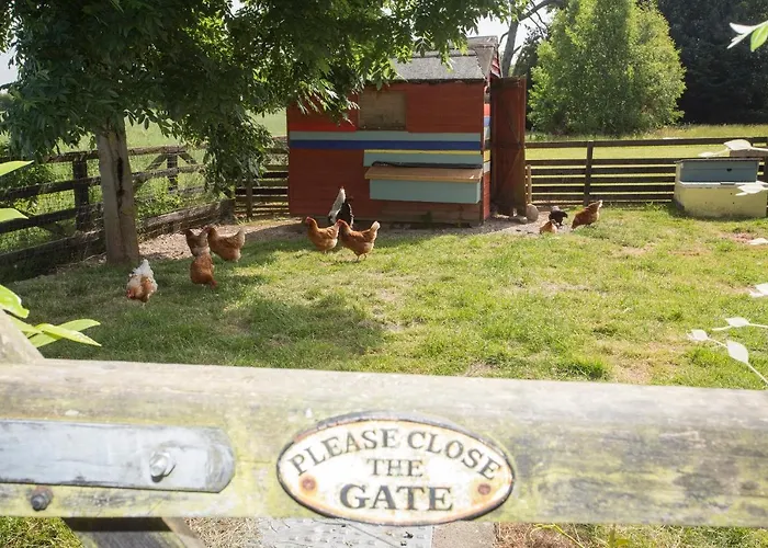 Gospodarstwo wiejskie Decoy Country