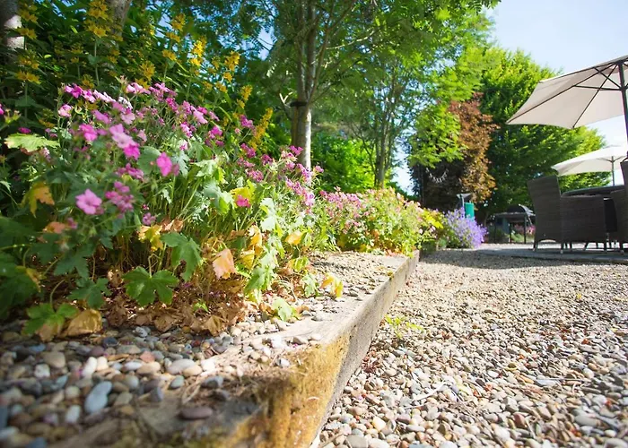 Gospodarstwo wiejskie Decoy Country *